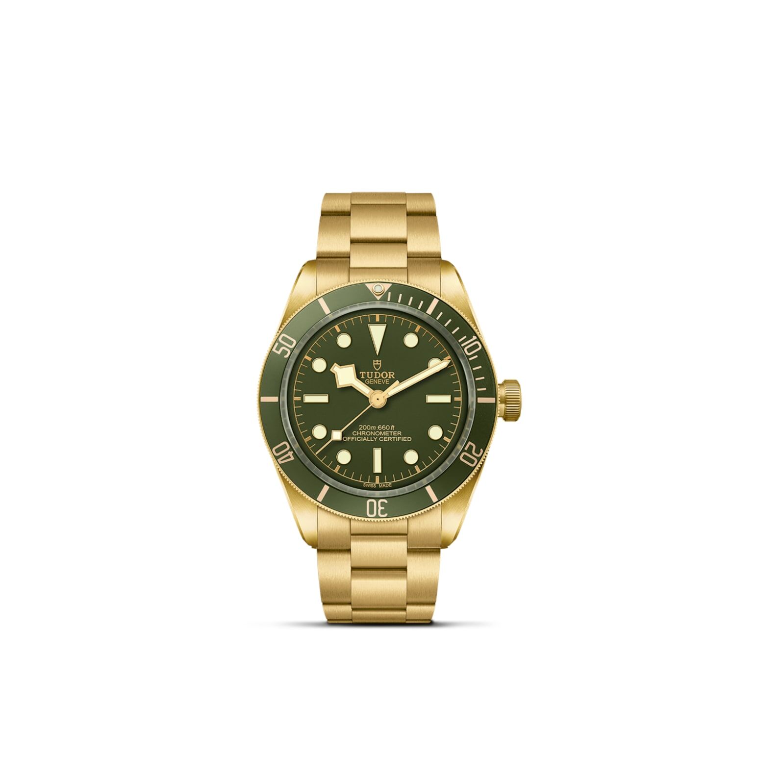 TUDOR Black Bay 58 18K 39mm case, satin finished, in 18 ct yellow gold Open case back with sapphire crystal - M79018V-0006 at Underwood Jewelers