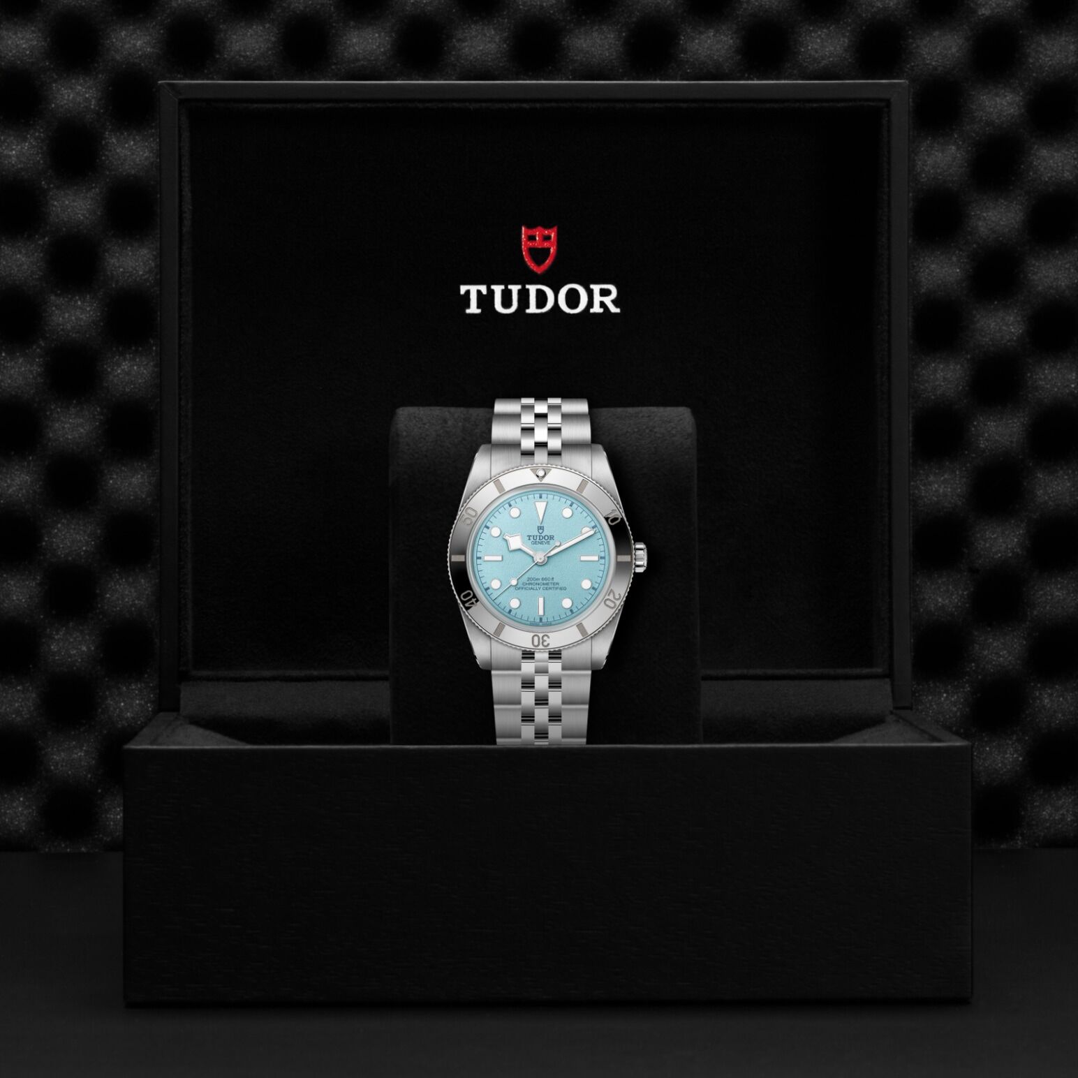 TUDOR Black Bay 54 37mm stainless steel case with polished and satin finish - M79000-0001 at Underwood Jewelers
