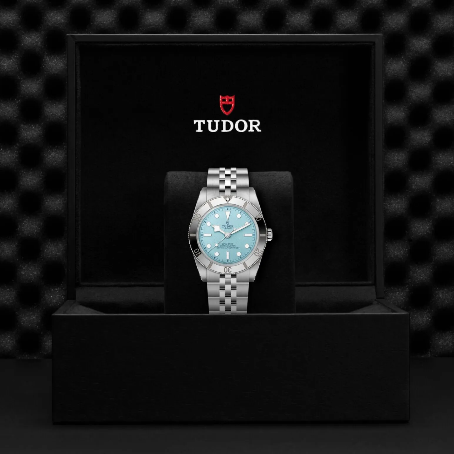 TUDOR Black Bay 54 37mm stainless steel case with polished and satin finish - M79000-0001 at Underwood Jewelers