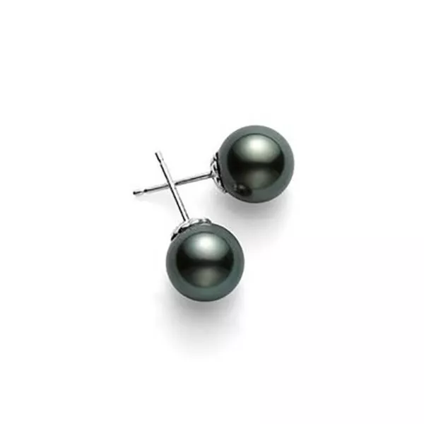 Black South Sea Pearl Studs- WG