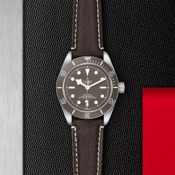 TUDOR Black Bay 58 925 39mm 925 silver case, satin finished Open case back with sapphire crystal - M79010SG-0001 at Underwood Jewelers