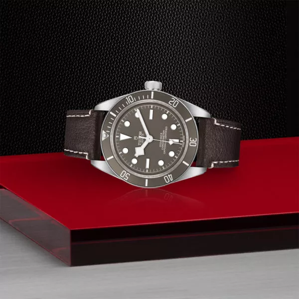 TUDOR Black Bay 58 925 39mm 925 silver case, satin finished Open case back with sapphire crystal - M79010SG-0001 at Underwood Jewelers