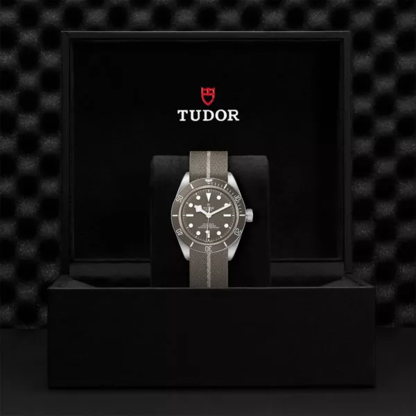TUDOR Black Bay 58 925 39mm 925 silver case, satin finished Open case back with sapphire crystal - M79010SG-0002 at Underwood Jewelers