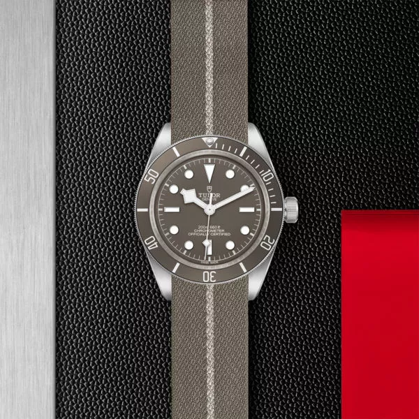 TUDOR Black Bay 58 925 39mm 925 silver case, satin finished Open case back with sapphire crystal - M79010SG-0002 at Underwood Jewelers