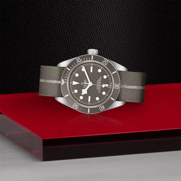 TUDOR Black Bay 58 925 39mm 925 silver case, satin finished Open case back with sapphire crystal - M79010SG-0002 at Underwood Jewelers