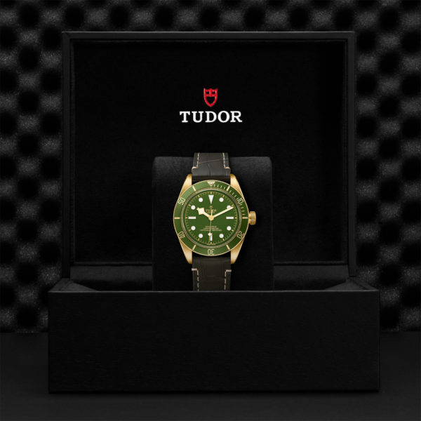 TUDOR Black Bay Fifty-Eight Watch 18K, with a 39mm Yellow Gold Case, Brn Alligator Brace (M7901V-0001)Black Presentation Box