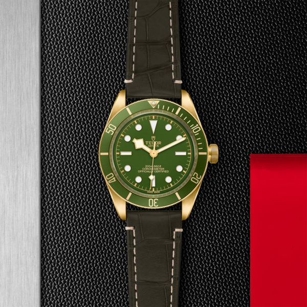 TUDOR Black Bay Fifty-Eight Watch 18K, with a 39mm Yellow Gold Case, Brn Alligator Brace (M79018V-0001) Flat lay on black and red background