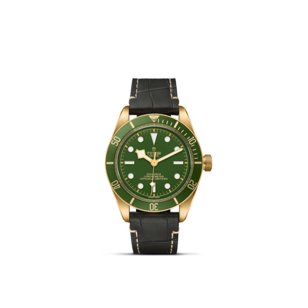 TUDOR Black Bay 58 18K 39mm case, satin finished, in 18 ct yellow gold Open case back with sapphire crystal - M79018V-0001 at Underwood Jewelers