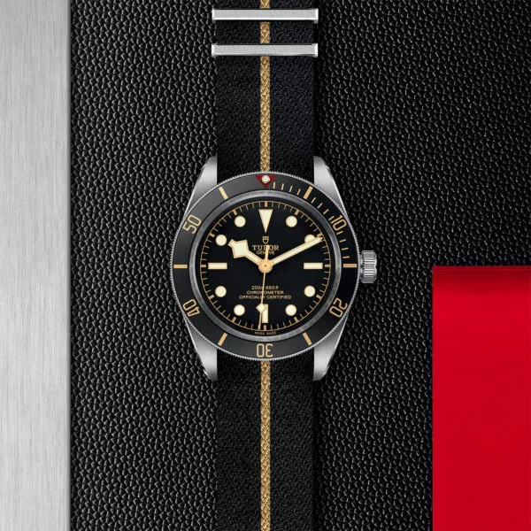 TUDOR Black Bay 58 39mm steel case with polished and satin finish - M79030N-0003 at Underwood Jewelers