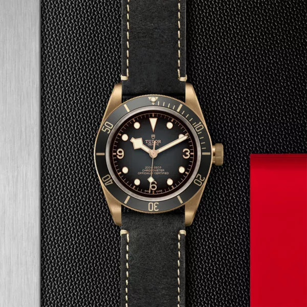 TUDOR Black Bay Bronze 43mm bronze case with bronze-coloured PVD-Treated steel case back and satin finish - M79250BA-0001 at Underwood Jewelers