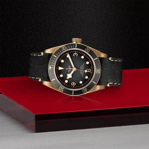TUDOR Black Bay Bronze 43mm bronze case with bronze-coloured PVD-Treated steel case back and satin finish - M79250BA-0001 at Underwood Jewelers