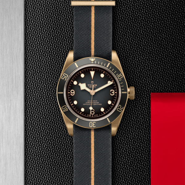 TUDOR Black Bay Bronze 43mm bronze case with bronze-coloured PVD-Treated steel case back and satin finish - M79250BA-0002 at Underwood Jewelers