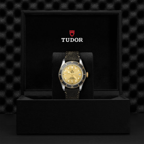 TUDOR Black Bay S&G 41mm steel case with polished and satin finish - M79733N-0003 at Underwood Jewelers