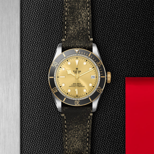TUDOR Black Bay S&G 41mm steel case with polished and satin finish - M79733N-0003 at Underwood Jewelers