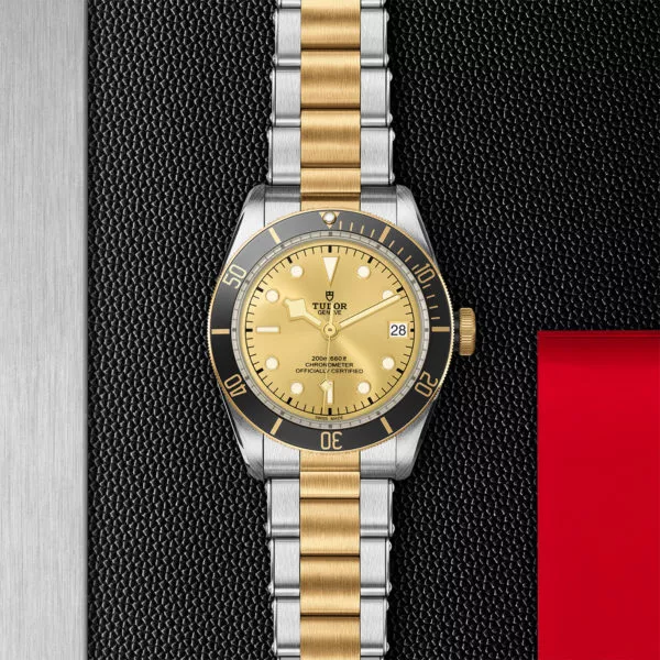 TUDOR Black Bay S&G 41mm steel case with polished and satin finish - M79733N-0004 at Underwood Jewelers