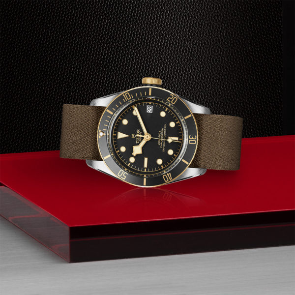 TUDOR Black Bay S&G 41mm steel case with polished and satin finish - M79733N-0005 at Underwood Jewelers
