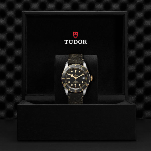 TUDOR Black Bay S&G 41mm steel case with polished and satin finish - M79733N-0007 at Underwood Jewelers