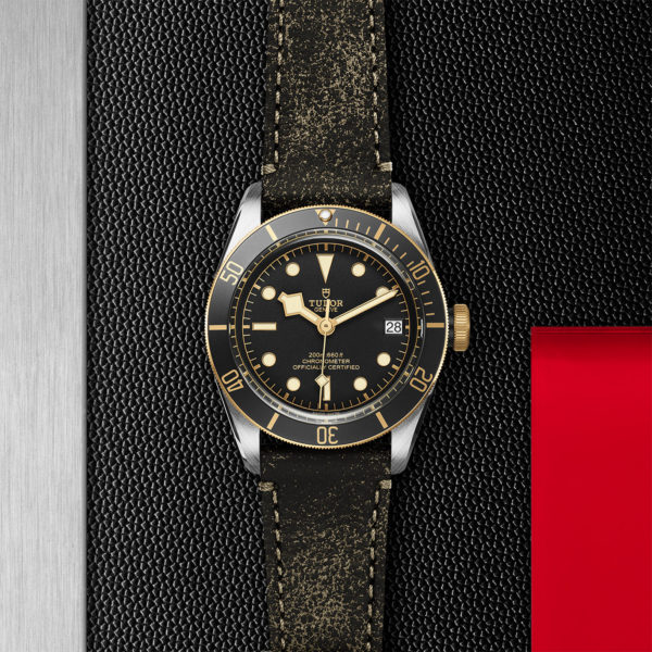TUDOR Black Bay S&G 41mm steel case with polished and satin finish - M79733N-0007 at Underwood Jewelers
