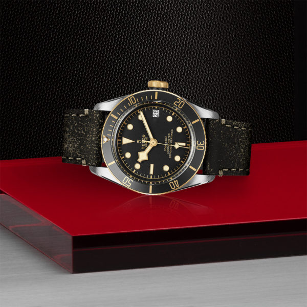 TUDOR Black Bay S&G 41mm steel case with polished and satin finish - M79733N-0007 at Underwood Jewelers
