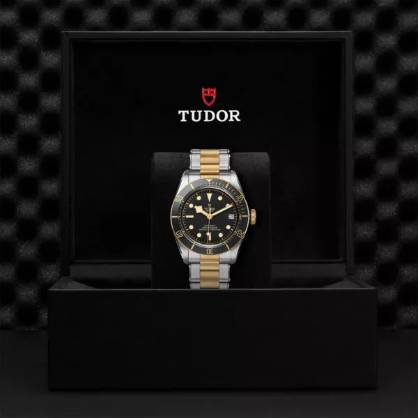 TUDOR Black Bay S&G 41mm steel case with polished and satin finish - M79733N-0008 at Underwood Jewelers