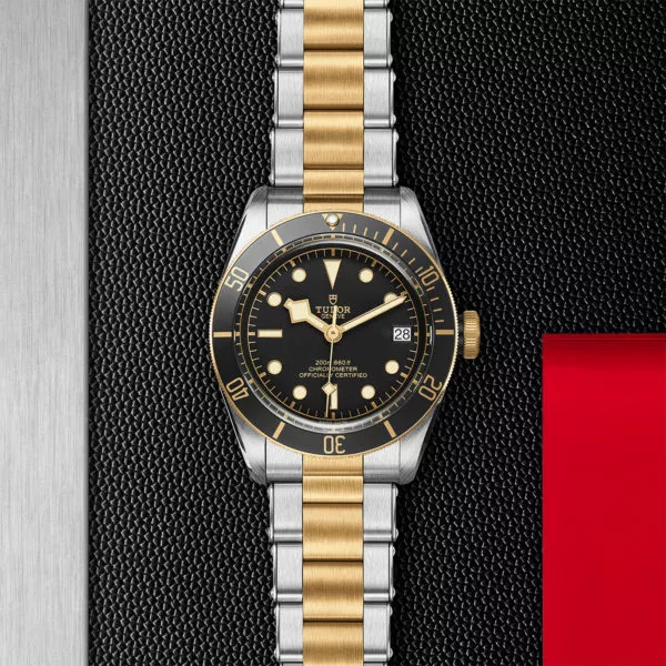 TUDOR Black Bay S&G 41mm steel case with polished and satin finish - M79733N-0008 at Underwood Jewelers