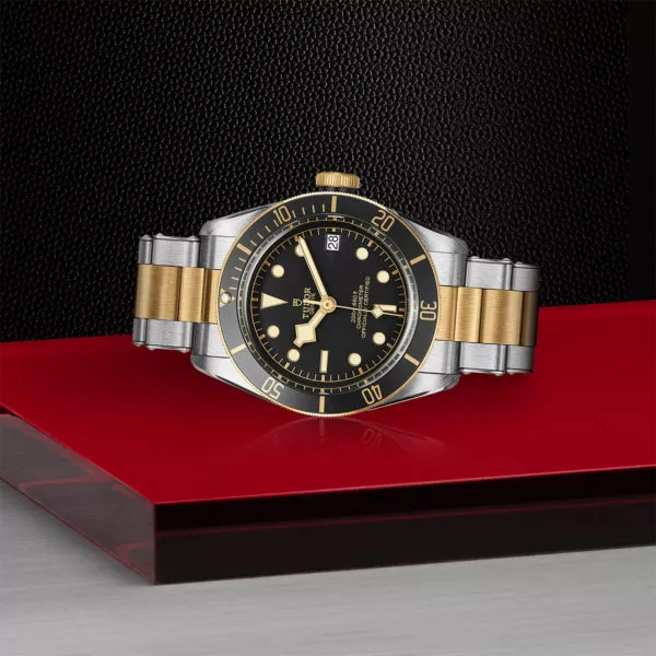 TUDOR Black Bay S&G 41mm steel case with polished and satin finish - M79733N-0008 at Underwood Jewelers