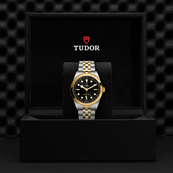 TUDOR Black Bay Pro Watch with a 41mm Steel Case, Steel and Yellow Gold Brace (M79683-0001) Black Presentation Box