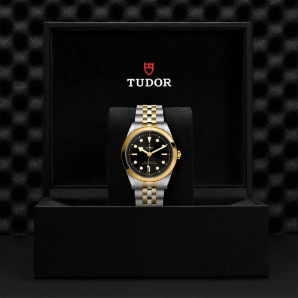 TUDOR Black Bay Pro Watch with a 41mm Steel Case, Steel and Yellow Gold Brace (M79683-0001) Black Presentation Box