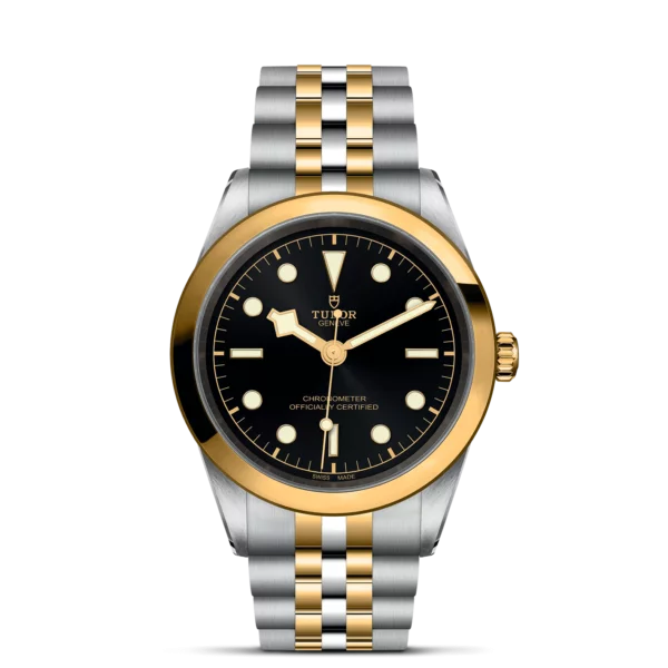 TUDOR Black Bay Pro Watch with a 41mm Steel Case, Steel and Yellow Gold Brace (M79683-0001)