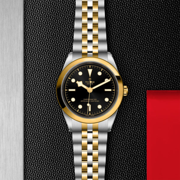TUDOR Black Bay Pro Watch with a 41mm Steel Case, Steel and Yellow Gold Brace (M79683-0001) Flat lay on black and red background