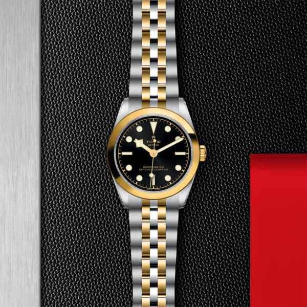 TUDOR Black Bay 31 S&G 31mm 316L steel case with polished and satin finish - M79603-0001 at Underwood Jewelers
