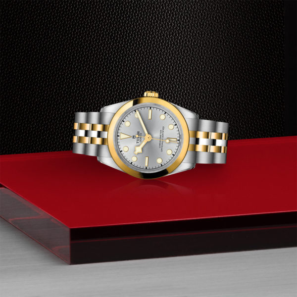 TUDOR Black Bay 31 S&G 31mm 316L steel case with polished and satin finish - M79603-0002 at Underwood Jewelers