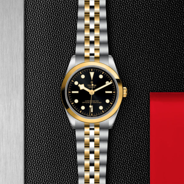 TUDOR Black Bay 36 S&G 36mm steel case with polished and satin finish - M79643-0001 at Underwood Jewelers