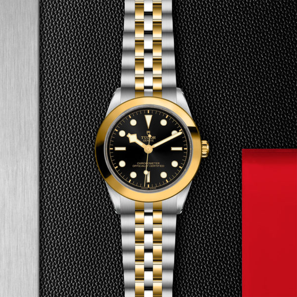 TUDOR Black Bay 39 S&G 39mm steel case with polished and satin finish - M79663-0001 at Underwood Jewelers