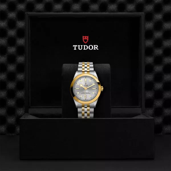 TUDOR Black Bay 39 S&G 39mm steel case with polished and satin finish - M79663-0002 at Underwood Jewelers