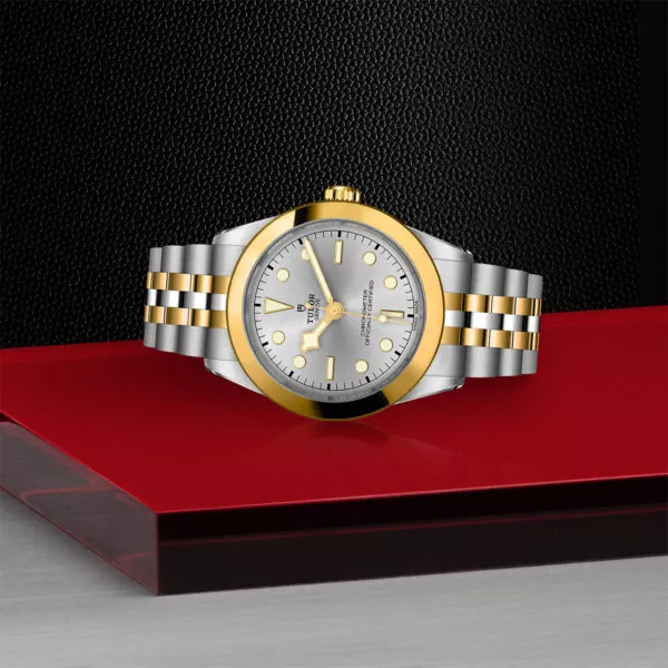 TUDOR Black Bay 39 S&G 39mm steel case with polished and satin finish - M79663-0002 at Underwood Jewelers