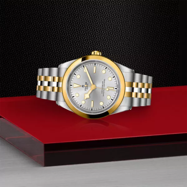 TUDOR Black Bay 41 S&G 41mm steel case with polished and satin finish - M79683-0002 at Underwood Jewelers