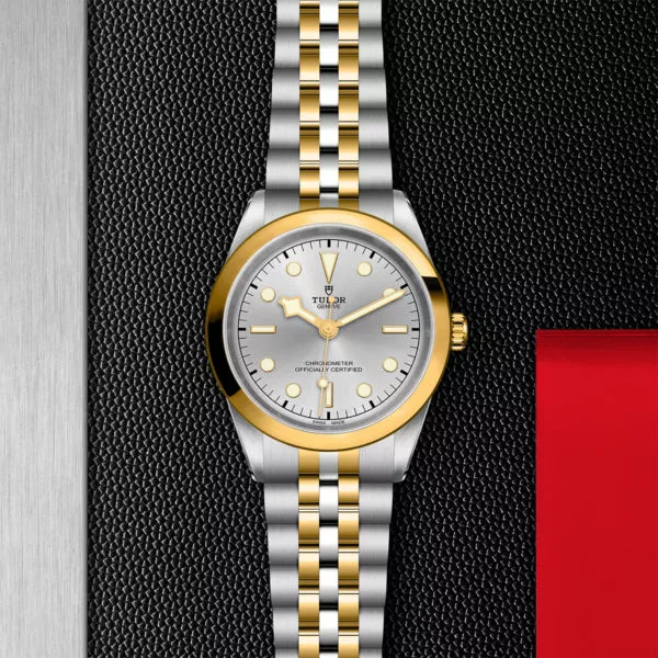 TUDOR Black Bay 41 S&G 41mm steel case with polished and satin finish - M79683-0002 at Underwood Jewelers