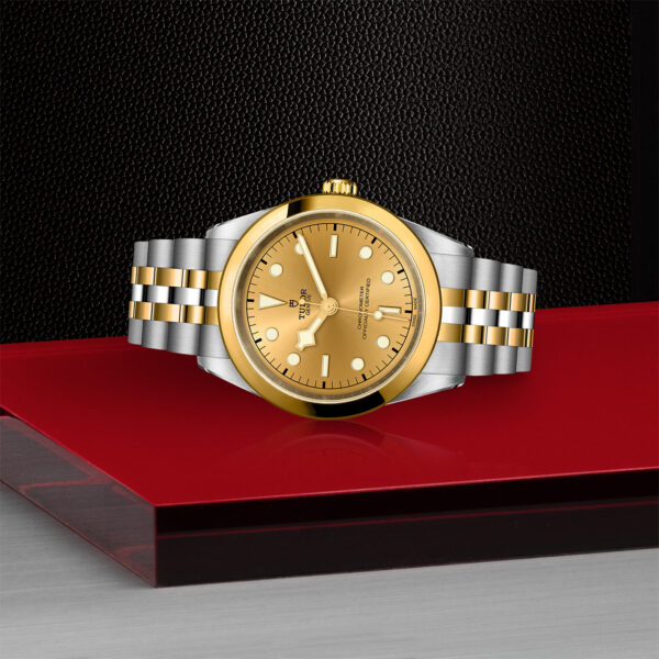 TUDOR Black Bay 41 S&G 41mm steel case with polished and satin finish - M79683-0005 at Underwood Jewelers