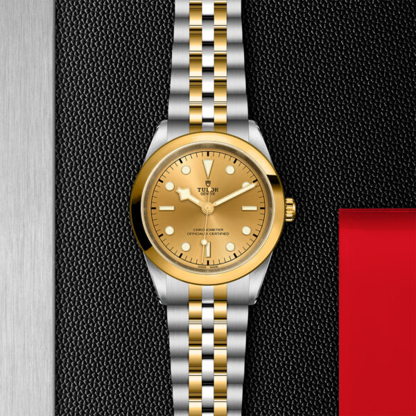 TUDOR Black Bay 41 S&G 41mm steel case with polished and satin finish - M79683-0005 at Underwood Jewelers