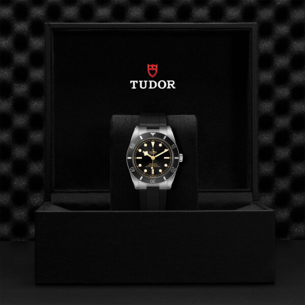 TUDOR Black Bay 54 37mm stainless steel case with polished and satin finish - M79000N-0002 at Underwood Jewelers