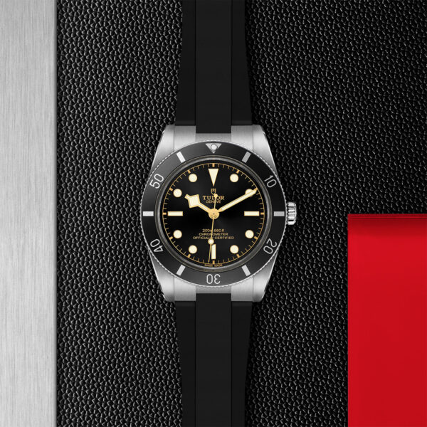 TUDOR Black Bay 54 37mm stainless steel case with polished and satin finish - M79000N-0002 at Underwood Jewelers