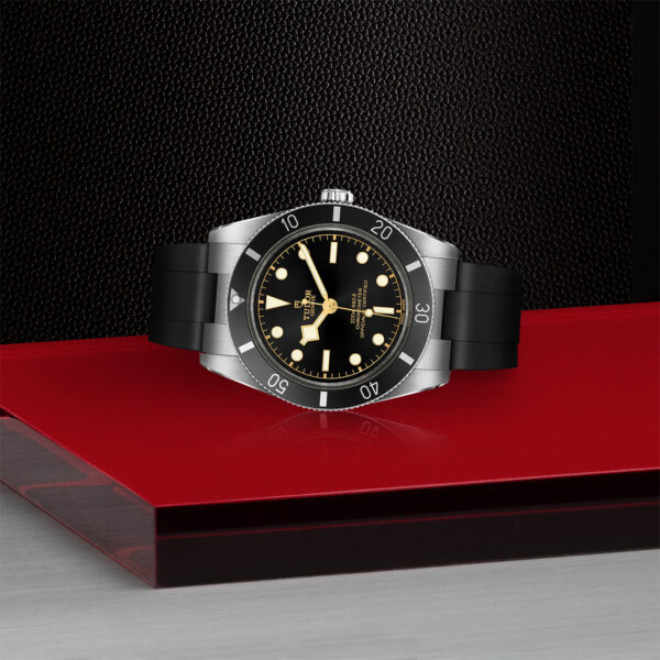 TUDOR Black Bay 54 37mm stainless steel case with polished and satin finish - M79000N-0002 at Underwood Jewelers