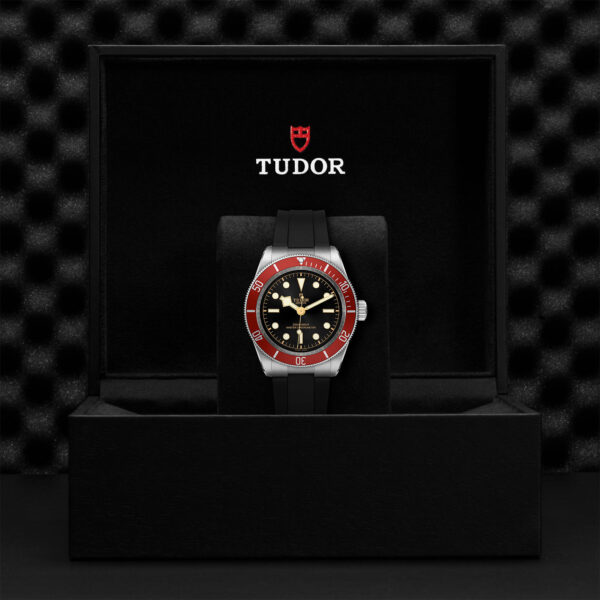 TUDOR Black Bay 41mm stainless steel case with polished and satin finish - M7941A1A0RU-0002 at Underwood Jewelers