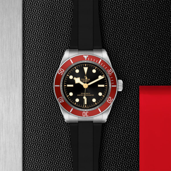 TUDOR Black Bay 41mm stainless steel case with polished and satin finish - M7941A1A0RU-0002 at Underwood Jewelers