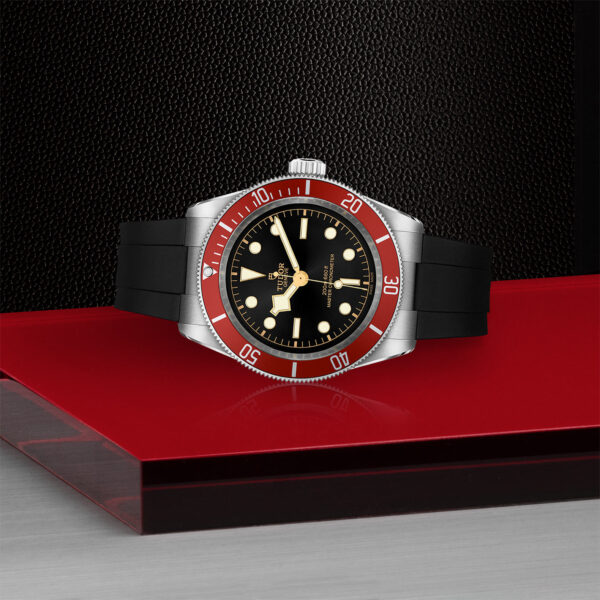 TUDOR Black Bay 41mm stainless steel case with polished and satin finish - M7941A1A0RU-0002 at Underwood Jewelers