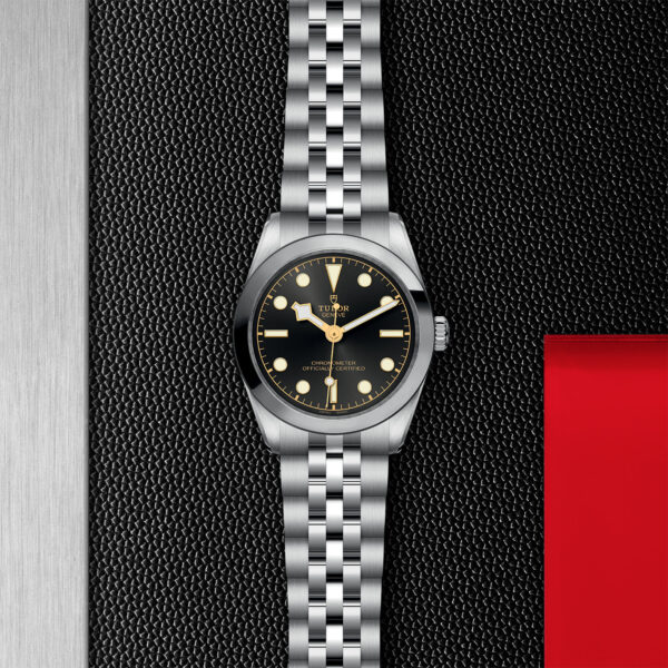 TUDOR Black Bay 31 31mm stainless steel case with polished and satin finish - M79600-0001 at Underwood Jewelers