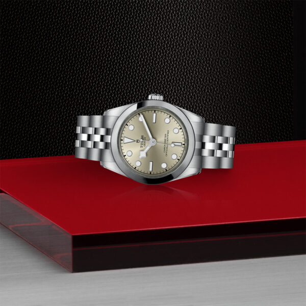 TUDOR Black Bay 31 31mm stainless steel case with polished and satin finish - M79600-0003 at Underwood Jewelers