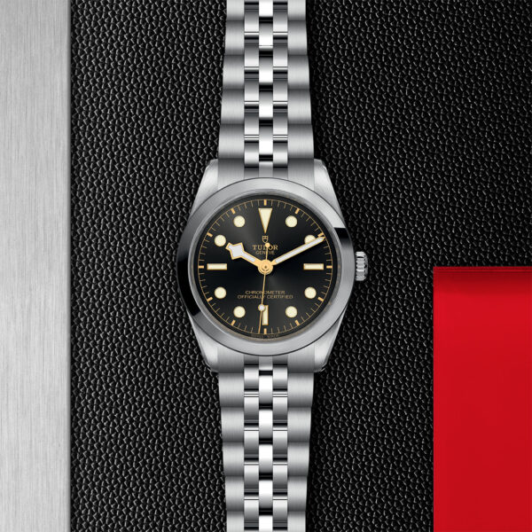 TUDOR Black Bay Watch with a 36mm Steel Case, Steel Bracelet (M79640-0001) Flat lay on black and red background