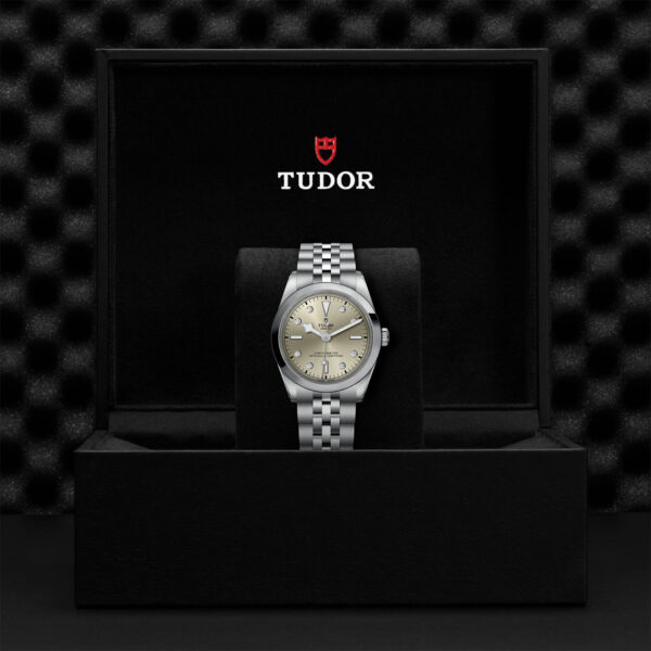 TUDOR Black Bay 36 36mm steel case with polished and satin finish - M79640-0006 at Underwood Jewelers